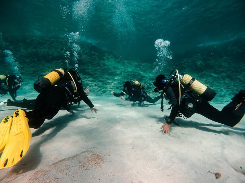 Mallorca: Try Scuba Diving by Boat - Underwater time: what you’ll likely see in Mallorca’s clear water