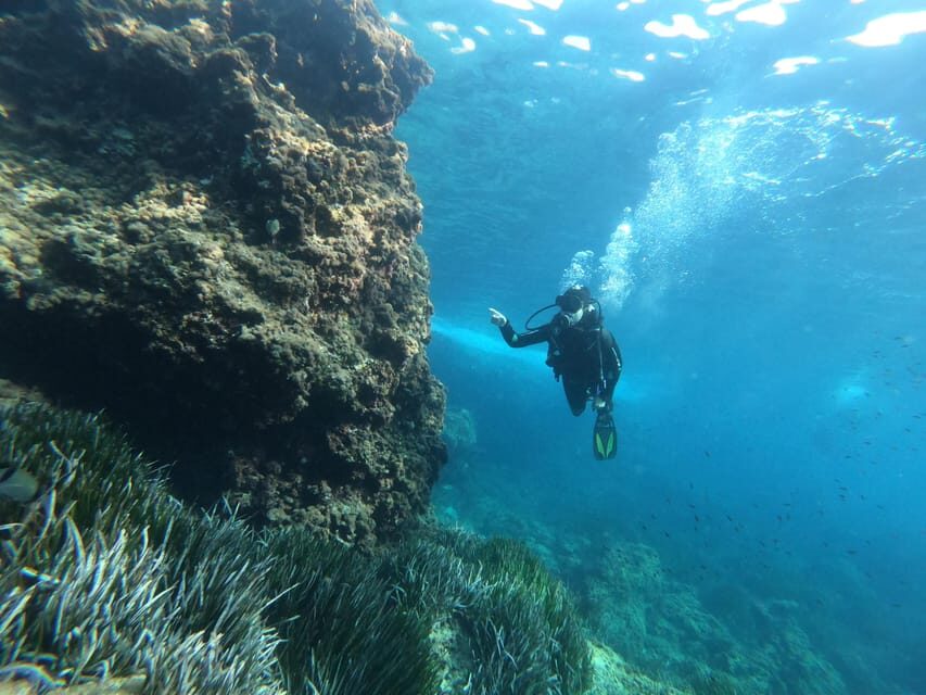 Mallorca: Try Scuba Diving by Boat - Price and value: is $123 per person a fair deal?