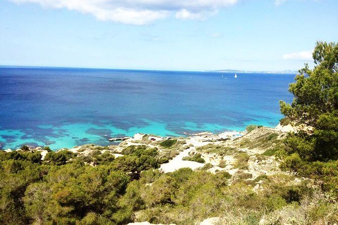 Mallorca: Try Scuba Diving in a Beautiful Nature Reserve - Cala Delta Bay: Protected Water and a Controlled Setup
