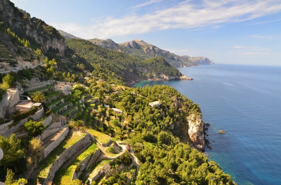Mallorca: Valldemossa & Soller Tour - Getting to the meeting point in Palma (and why timing matters)