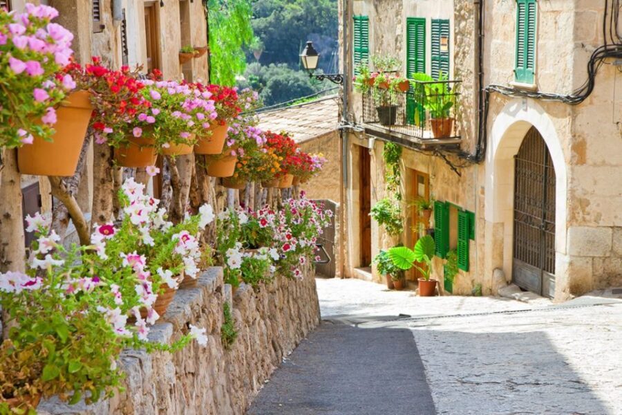 Mallorca: Valldemossa & Soller Tour - Sóller: where the orange trees meet real walking time