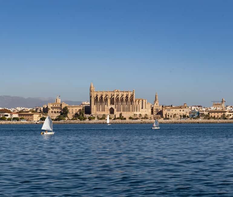 Mallorca: Visit Palma Speedboat adrenaline & snorkelling - Key highlights that make this speedboat outing worth your time