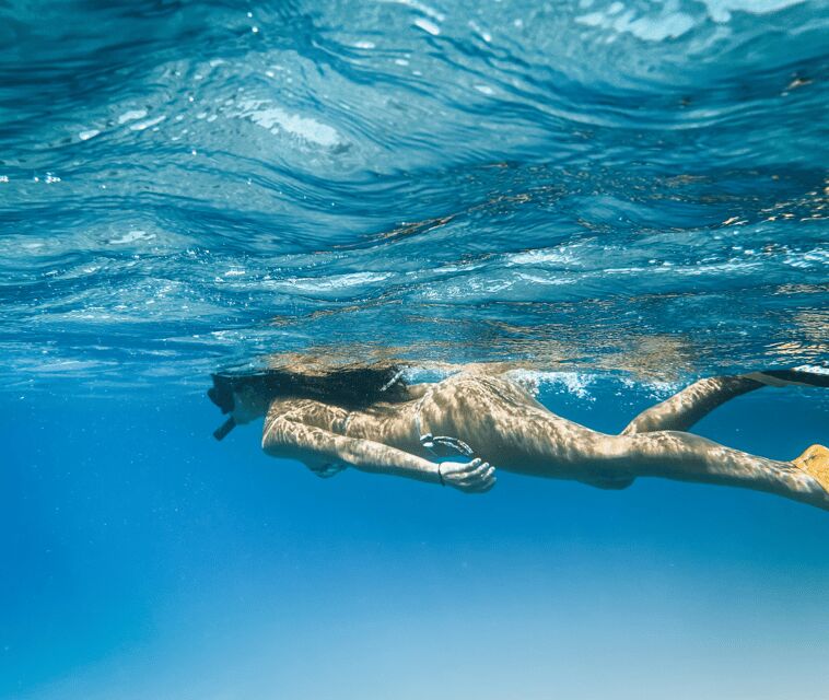 Mallorca: Visit Palma Speedboat adrenaline & snorkelling - FAQ