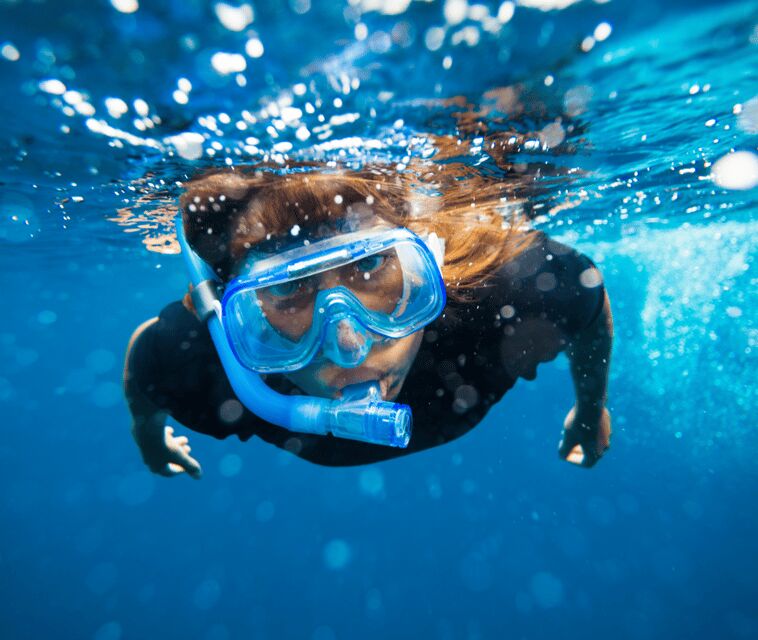Mallorca: Visit Palma Speedboat adrenaline & snorkelling - The best part: snorkelling time in Palma Bay water