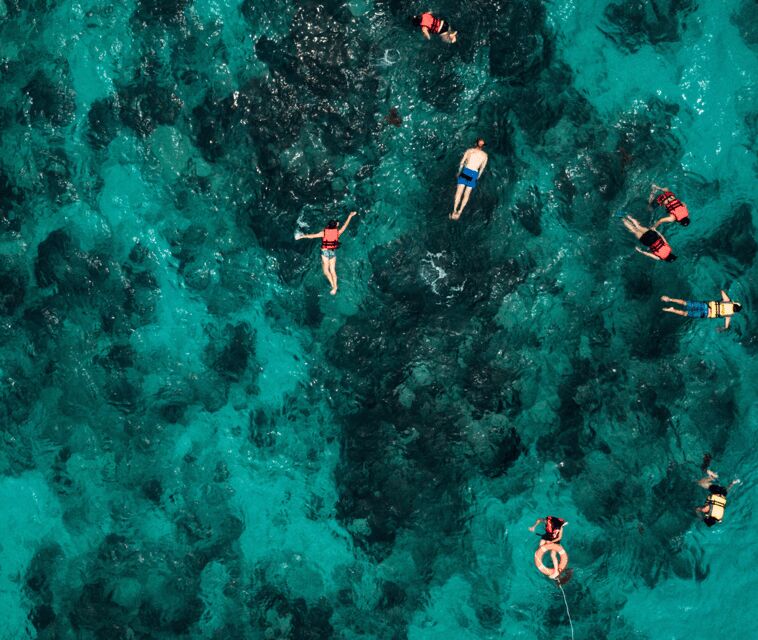 Mallorca: Visit Palma Speedboat adrenaline & snorkelling - Captain-led speed and maneuvers: what the adrenaline is really like