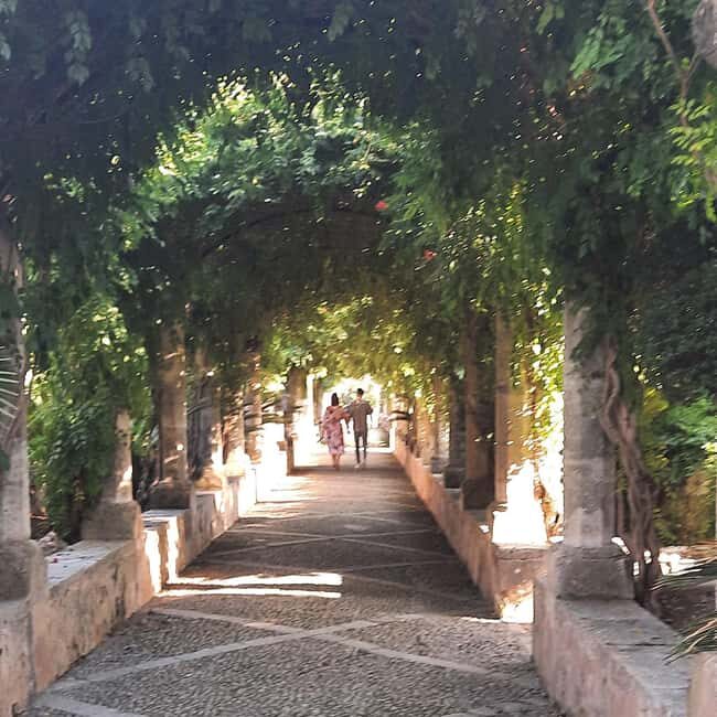 Mallorca: West Coast & Orange Valley Minbustour GERMAN GUIDE - Logistics you should plan around (so the day stays fun)