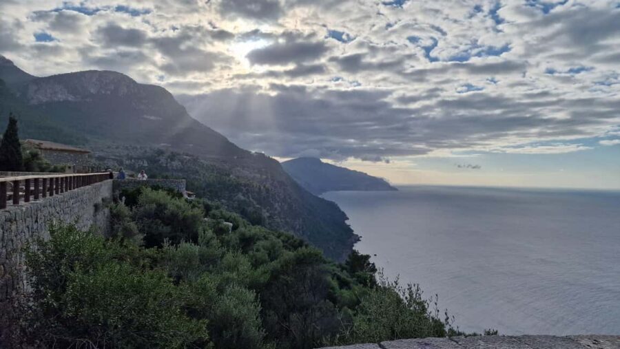 Mallorca: West Coast & Orange Valley Minbustour GERMAN GUIDE - Price and what you’re really buying for $113