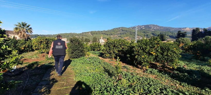 Mallorca: West Coast & Orange Valley Minbustour GERMAN GUIDE - What the included food and drink actually feels like