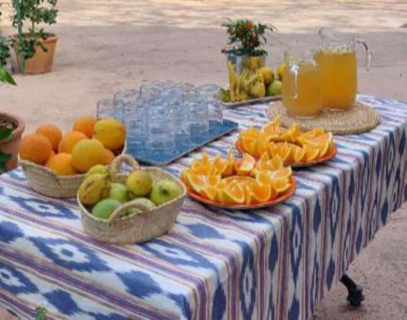 Mallorca: West Coast & Orange Valley Minbustour GERMAN GUIDE - Group size, guide style, and why it matters