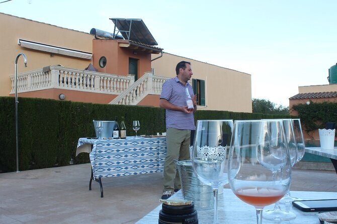 Mallorca Wine and Cheese Tasting - A relaxed 5-wine introduction in Puerto de Alcúdia