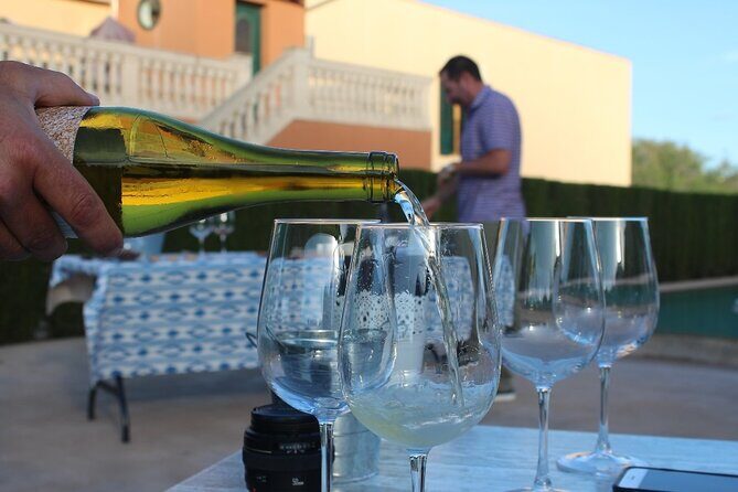 Mallorca Wine and Cheese Tasting - Price and value: what $48.57 is really buying