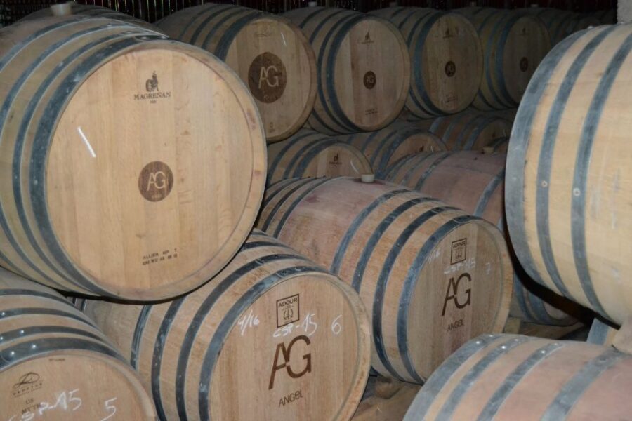 Mallorca: Wine Cellar Tour XL - 3 Wine Tastings incl. GERMAN - Should you book the Mallorca Wine Cellar Tour XL?