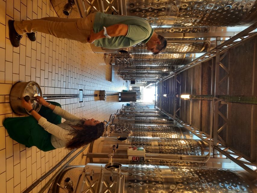 Mallorca: Wine Cellar Tour XL - 3 Wine Tastings incl. GERMAN - Group size, pace, and comfort rules you should plan around