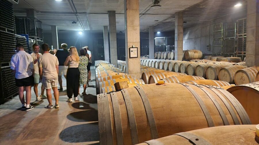 Mallorca: Wine Cellar Tour XL - 3 Wine Tastings incl. GERMAN - Price and value: what $191 gets you on Mallorca