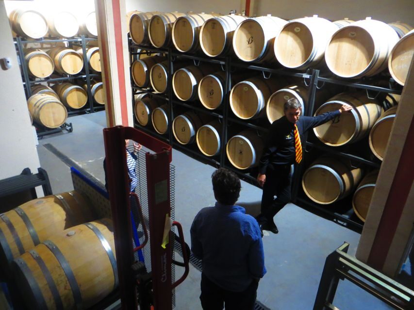 Mallorca: Wine Cellar Tour XL - 3 Wine Tastings incl. GERMAN - The stop-by-stop bodega route: what each tasting block includes