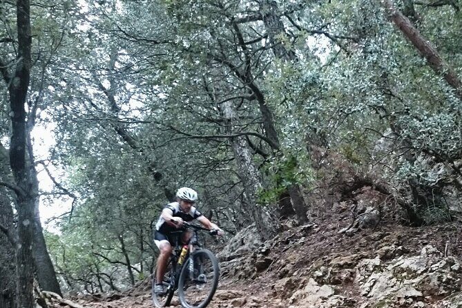 MTB guided tour in Bellver forest and Na Burguesa m.(E-MTB avai.) - Quick take on the Bellver Forest + Na Burguesa MTB ride