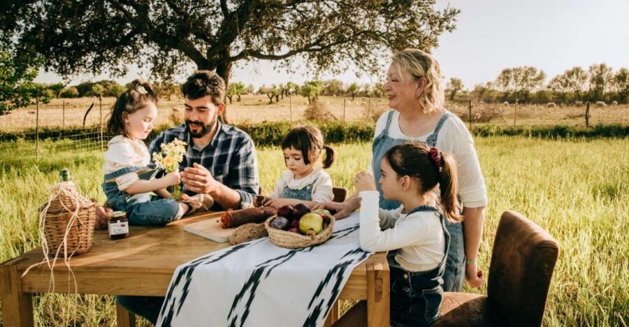 Olive plant and mill visit and tasting - The Mallorca picnic: pairing oil with real local food