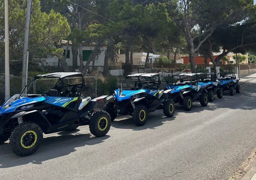 Paguera: 2 Hour Buggy Tour - Paguera Buggy Basics: What You’re Actually Driving