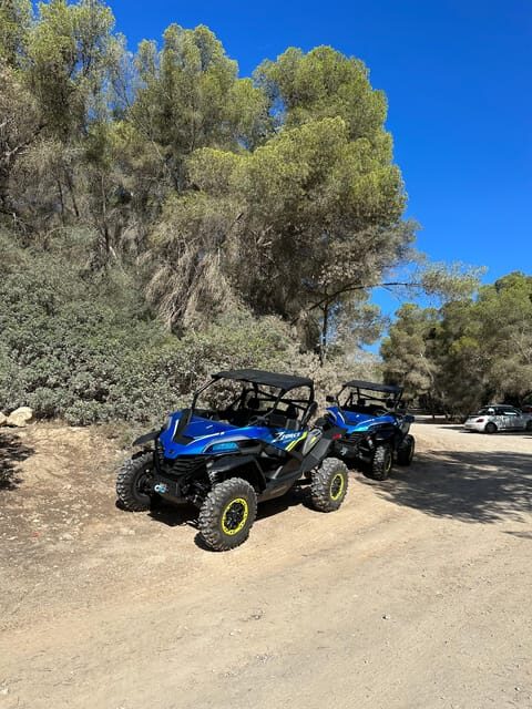 Paguera: 2 Hour Buggy Tour - Two Hours on Mallorca: The Real Route Timing