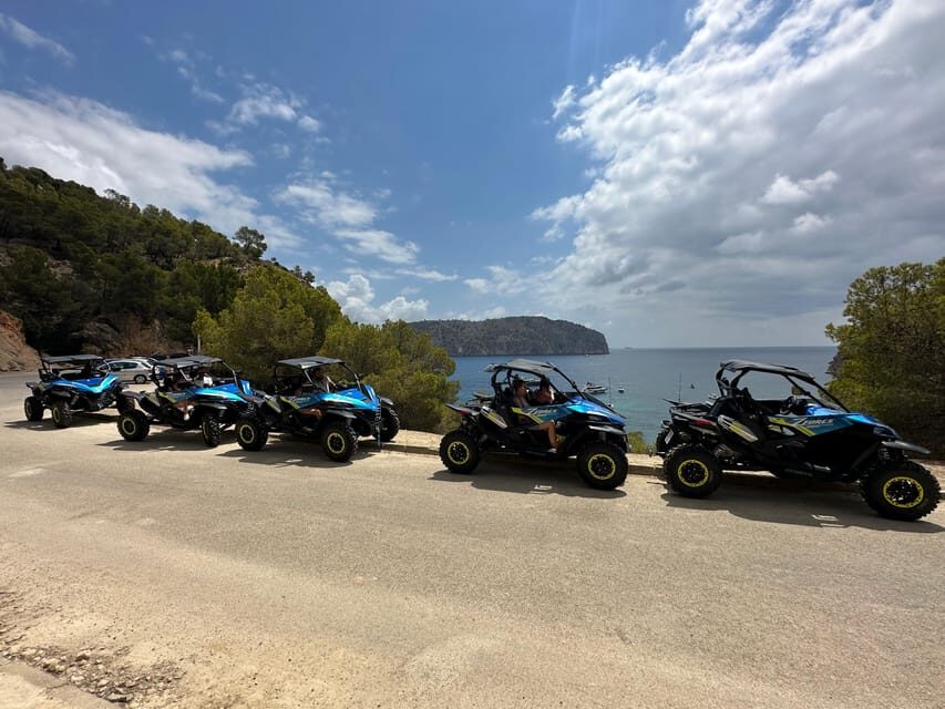 Paguera: 2 Hour Buggy Tour - Andratx and Port d’Andratx: Scenic Passing, Not a Long Downtown Stroll