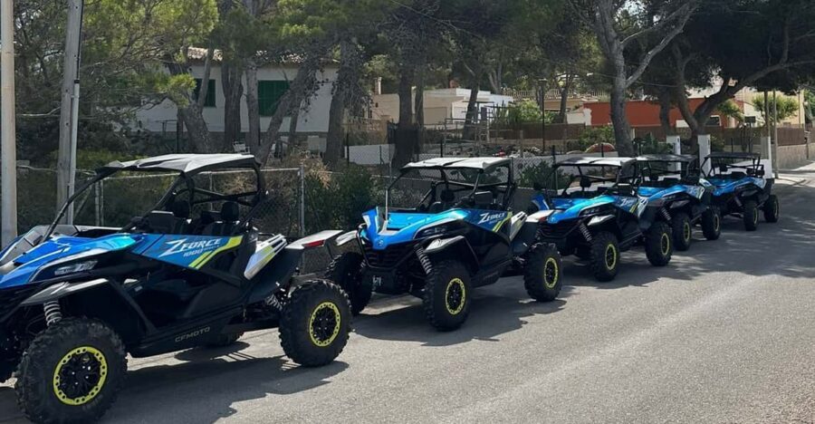 Paguera: 2 Hour Buggy Tour - Price and Value: Is $69 Worth It for a 2-Hour Ride?