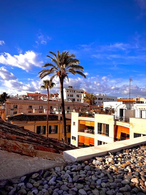 Palma authentically. Small group City tour with tapas - Finding the Start Point: Lennox The Pub and a 2.5-Hour Palma Stroll