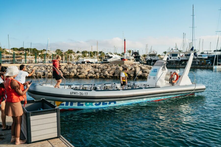 Palma Bay: 1-Hour Speedboat Adventure - Who This Tour Fits Best (and Who Should Skip It)
