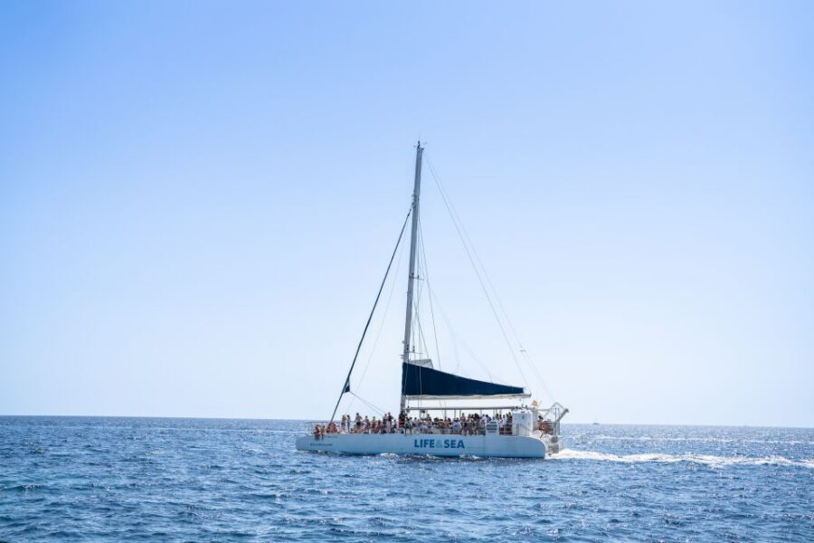 Palma: Catamaran Cruise with Swimming and Snorkelling - Key highlights you’ll care about