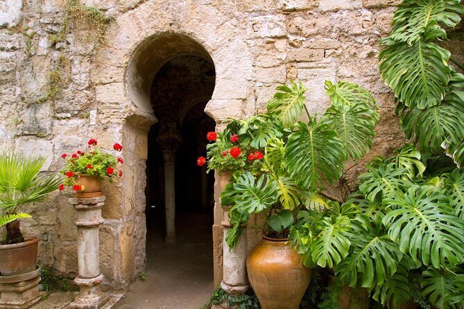Palma Cathedral & Surroundings PRIVATE TOUR with Ticket Included - Key things to know before you go