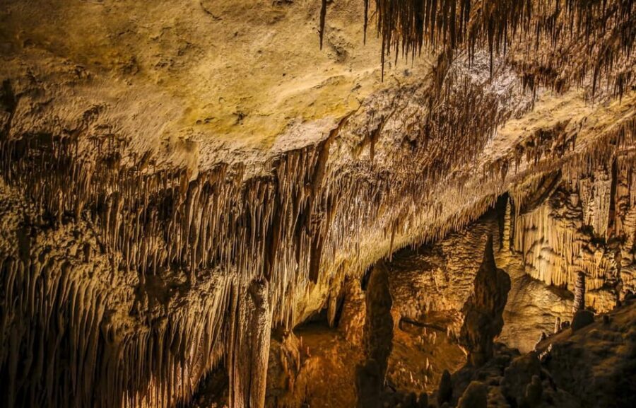 Palma: Caves of Drach Entrance, Music Concert, and Boat Trip - Key things to know before you go