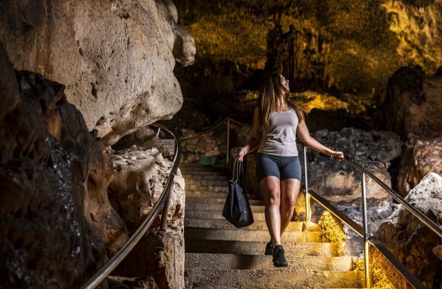 Palma: Caves of Drach Entrance, Music Concert, and Boat Trip - Time After the Caves: Gardens, Snacks, and Majorica Pearls