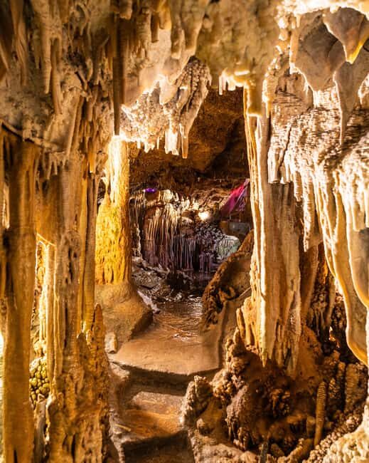 Palma: Caves of Genova Ticket & Digital Informational Video - Price and value: is $14 worth it?