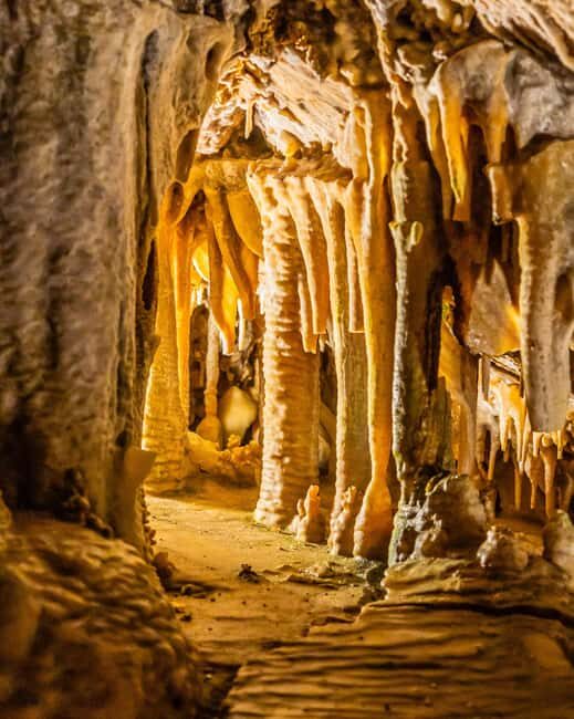 Palma: Caves of Genova Ticket & Digital Informational Video - After the caves: use the surface restaurant to turn it into a full outing
