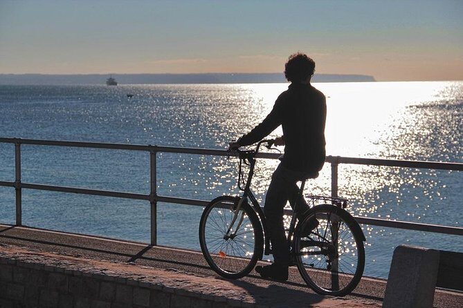Palma de Mallorca 3-Hour Highlights and Tapas Tasting Bike Tour - Call&Ride Bike Setup: Quick Safety, Then Real Time in the City