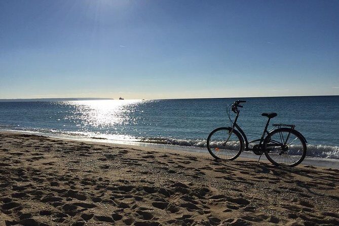 Palma de Mallorca 3-Hour Highlights and Tapas Tasting Bike Tour - Convents and Churches: Santa Clara, Sant Francesc, and Santa Eulàlia