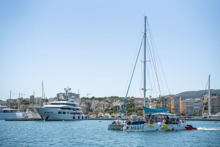 Palma de Mallorca: 5-Hour Catamaran Cruise with Lunch & Swim - Snorkeling gear and masks: the simple way to see fish