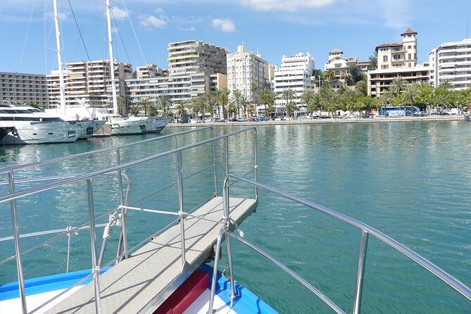 Palma de Mallorca Bay Boat Trip - What You’ll Actually See: Fishing Boats, Yachts, and Cruise Ships