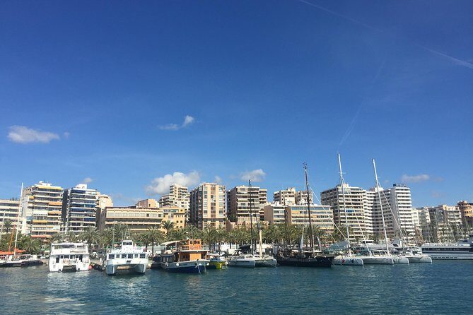Palma de Mallorca Bay Boat Trip - Cathedral Sea Views and the Photo Stop Moment