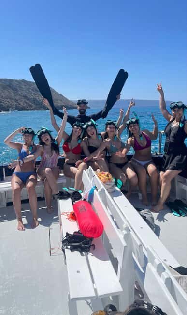 Palma de Mallorca: Cala Vella Snorkeling Adventure - Key things I’d circle before you book
