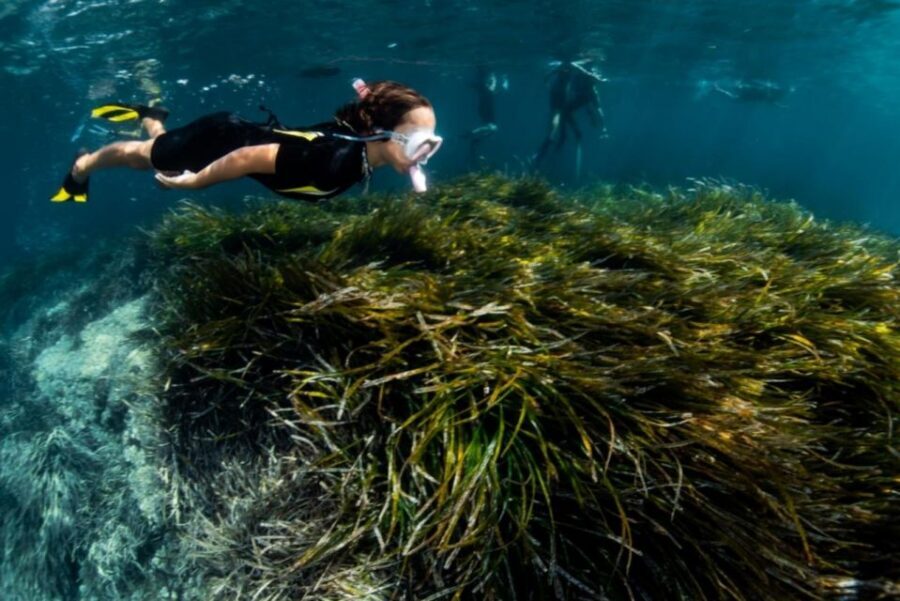 Palma de Mallorca: Cala Vella Snorkeling Adventure - Weather, time shifts, and safety basics you should not ignore