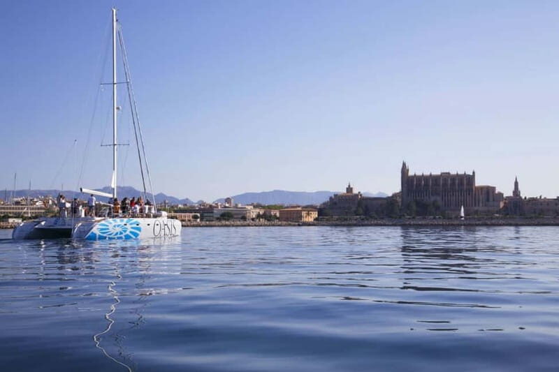 Palma de Mallorca: Deluxe Catamaran Sailing Tour with Meal - Should you book the Oasis catamaran sailing tour?