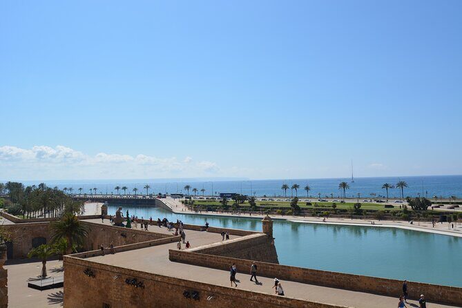 Palma de Mallorca Easy Bike Tour (Small Groups) - Sa Llotja: Gothic maritime power you can actually see up close