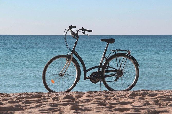 Palma de Mallorca Easy Bike Tour (Small Groups) - Parc de la Mar: a calm break under the cathedral shadow