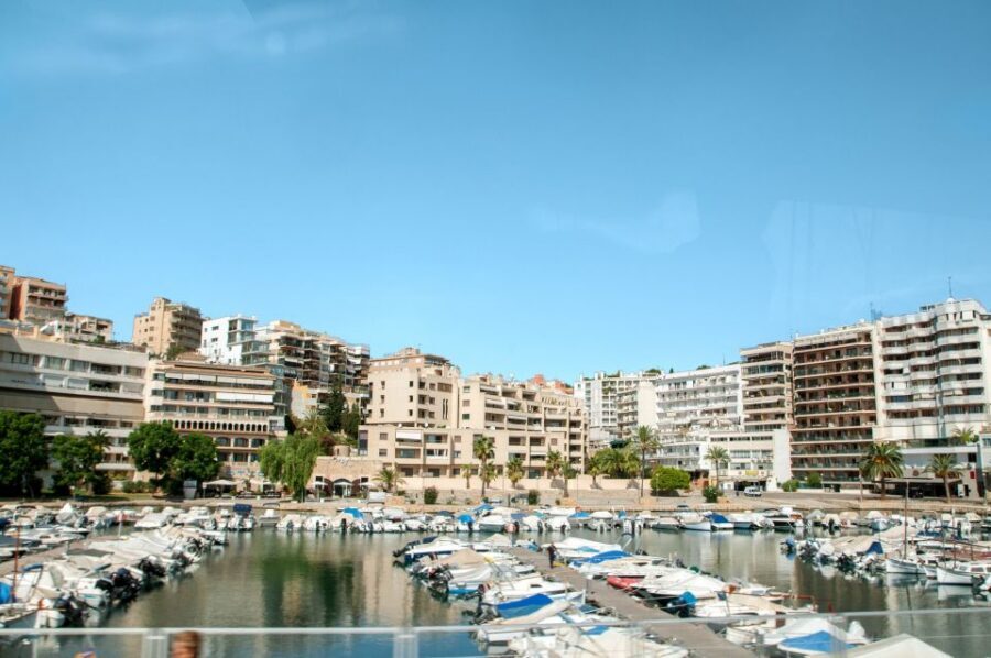 Palma de Mallorca: Full-Day Tour with Departure Options - Key things I’d watch for before you go