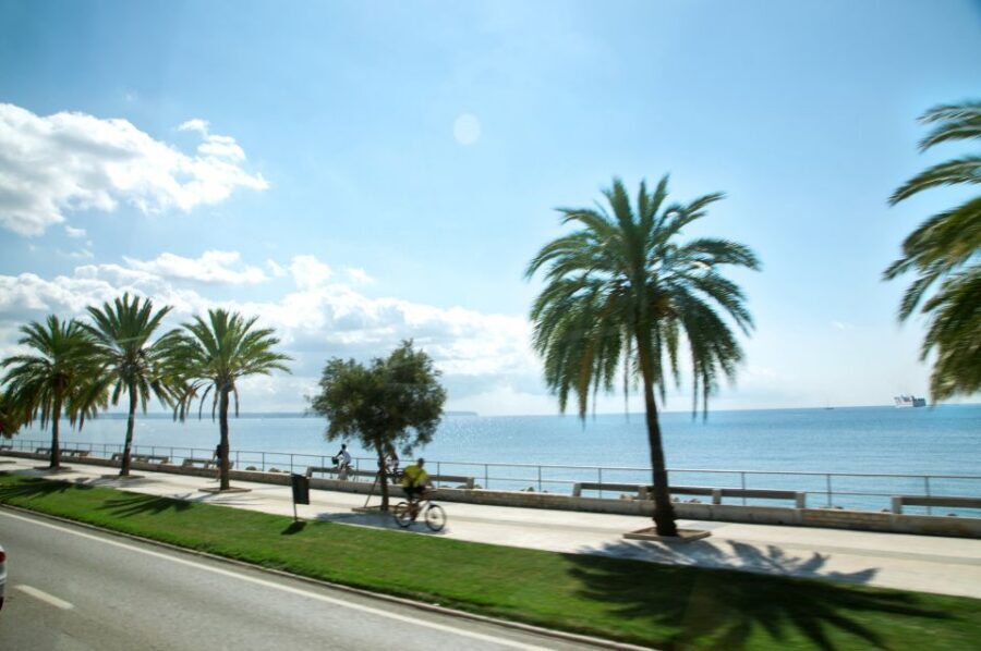 Palma de Mallorca: Full-Day Tour with Departure Options - What This Palma Day Trip Feels Like in 8 Hours