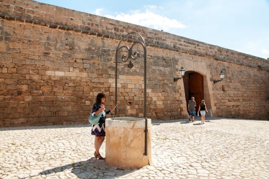 Palma de Mallorca: Full-Day Tour with Departure Options - Cathedral to Old Town: Using the Map Instead of Guessing