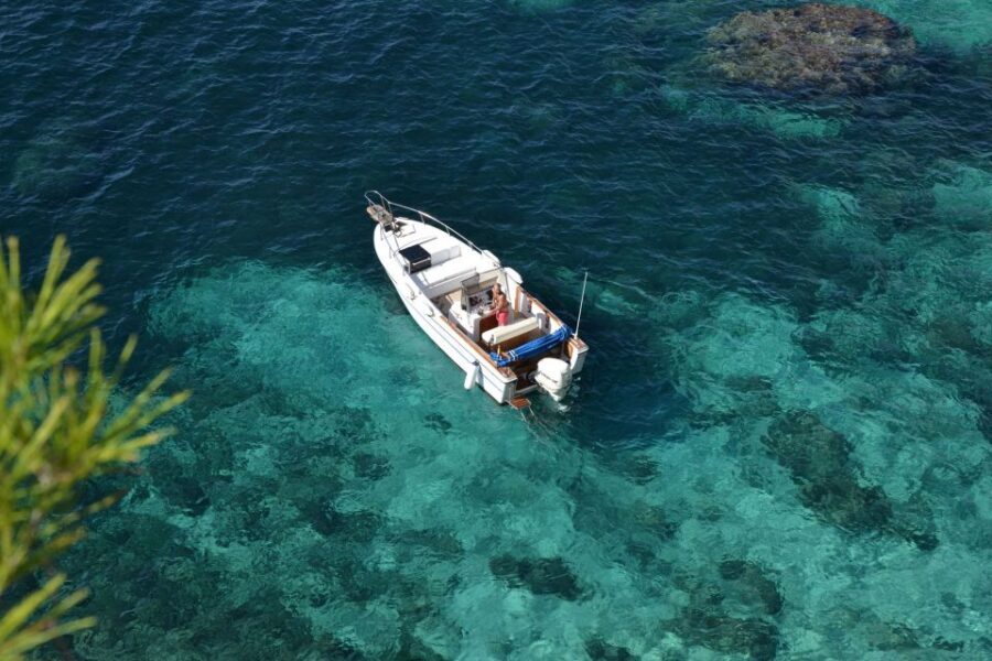 Palma de Mallorca: Full or Half-Day Boat Trip with Brunch - Price and Value for a Group Up to 8