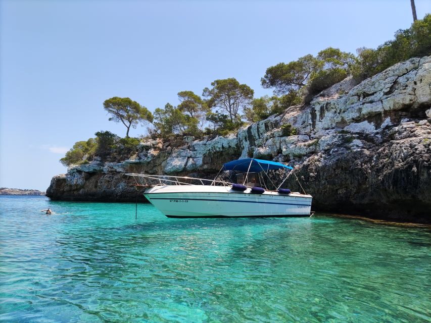 Palma de Mallorca: Full or Half-Day Boat Trip with Brunch - Snorkeling and Paddleboarding: Where the Fun Actually Happens