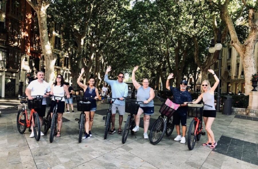 Palma de Mallorca: Guided Bicycle Tour - Who this Palma bicycle tour is best for