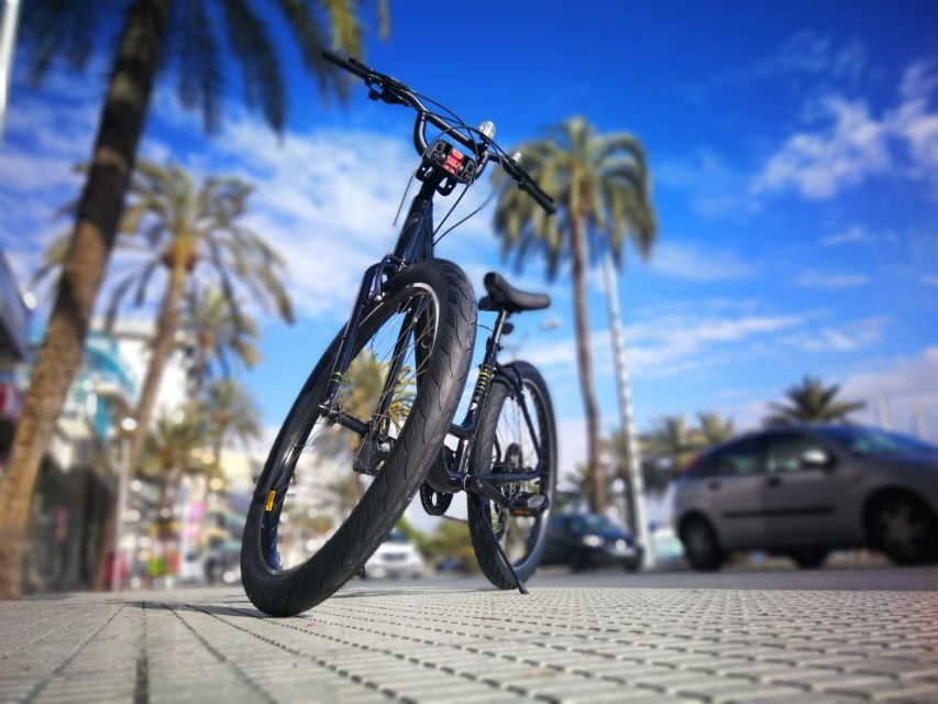 Palma de Mallorca: Guided Bicycle Tour - Price and value: what you get for about $53